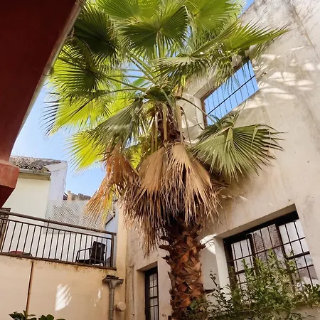 Patio De Armas Apartment Cordoba